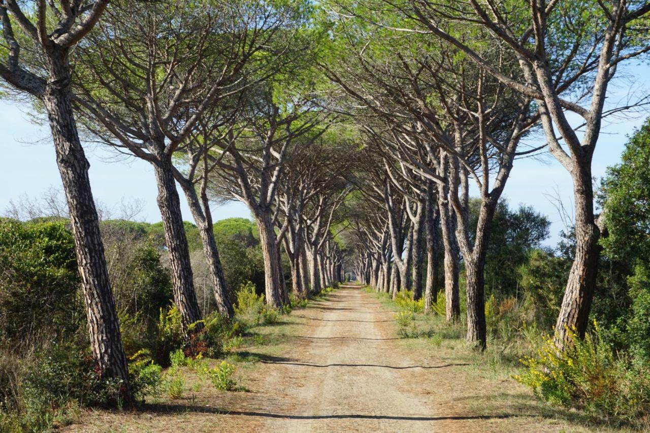 Tenuta San Carlo Hotel Marina Di Grosseto Buitenkant foto
