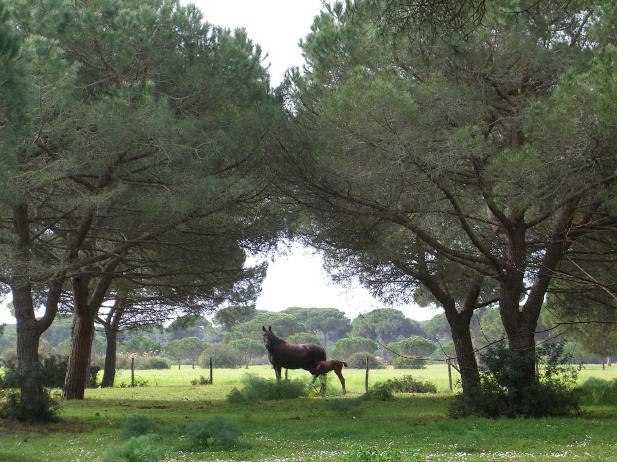 Tenuta San Carlo Hotel Marina Di Grosseto Buitenkant foto