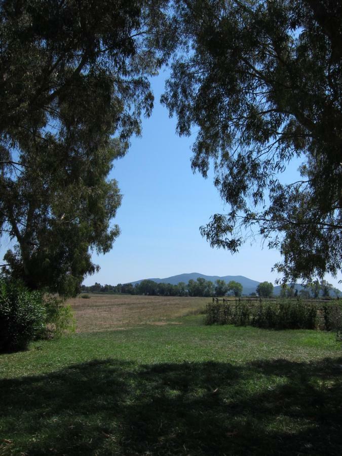 Tenuta San Carlo Hotel Marina Di Grosseto Buitenkant foto